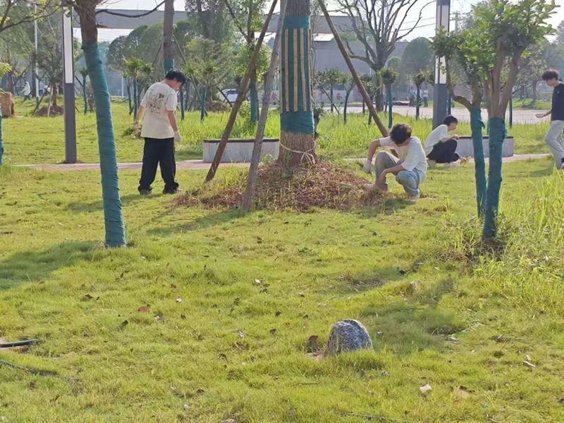 421cb6d4c89c8ed0d6604f9159f44e04