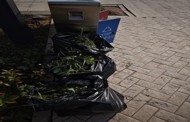 844d1bd0382c848f11e4a4ef48fd060e