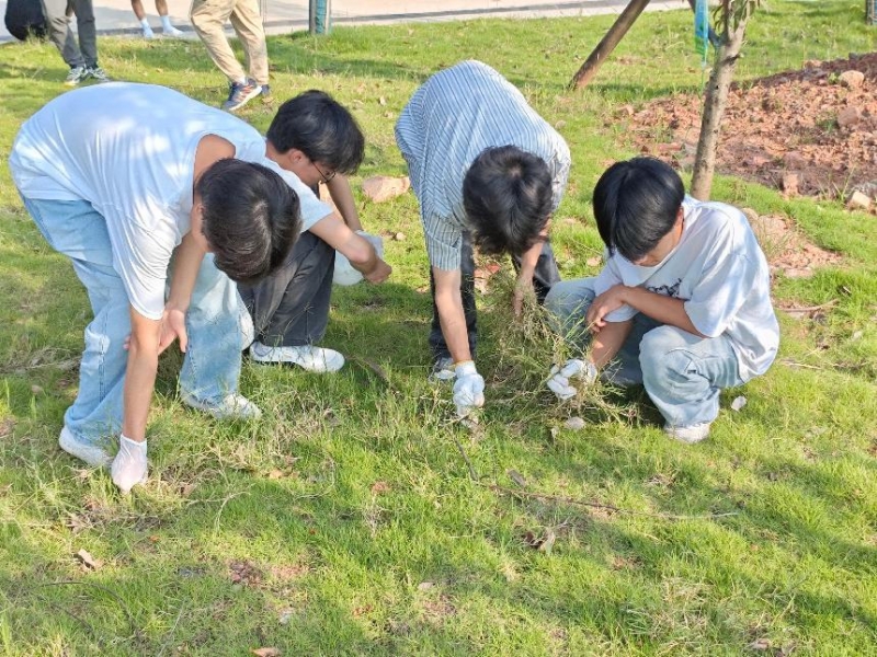 1ad4acbcd7df6c9fbd2a59b52f372249_